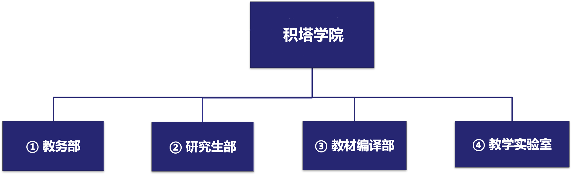 BWIN国际学院治理架构.png